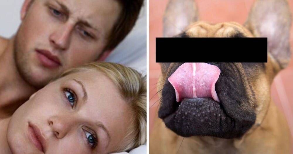'I've never had sex with partner or felt her boobs - next door's dog licks me more'